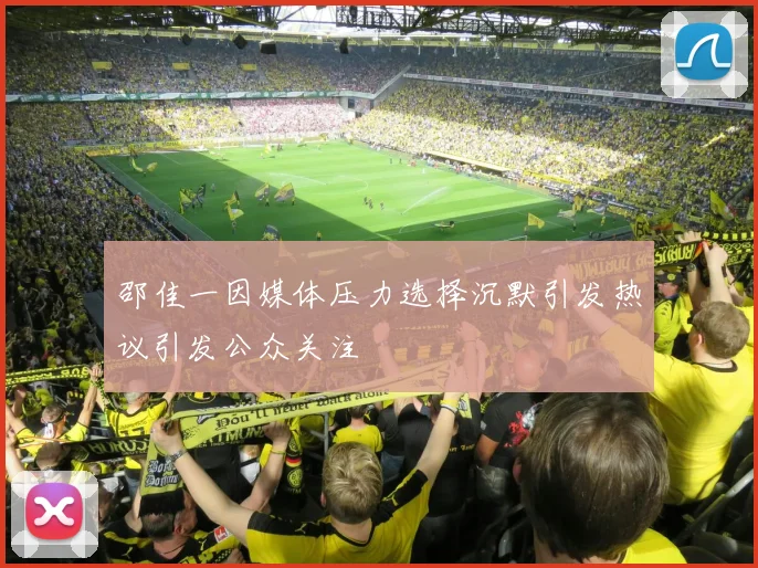 邵佳一因媒体压力选择沉默引发热议引发公众关注