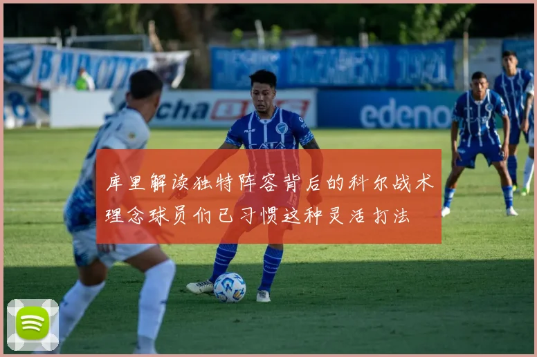 库里解读独特阵容背后的科尔战术理念球员们已习惯这种灵活打法