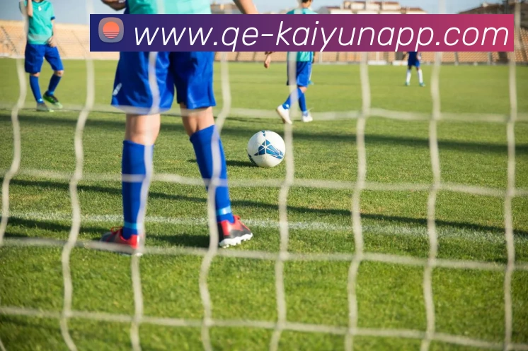 开云体育平台生态图